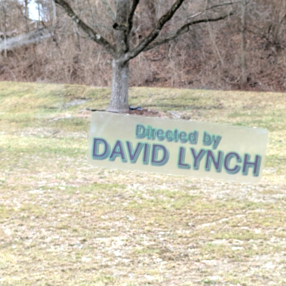 BUNDLE: 3 NWoT 🌟 TWIN PEAKS style 🎬🎥DIRECTED BY DAVID LYNCH WINDOW DECALS🎥🎬